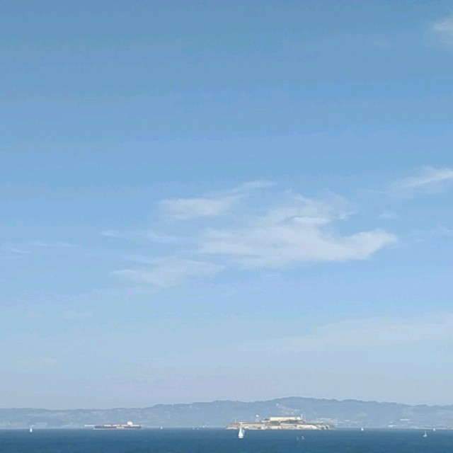 889550 风往北飘