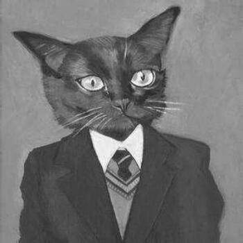 889944 猫王