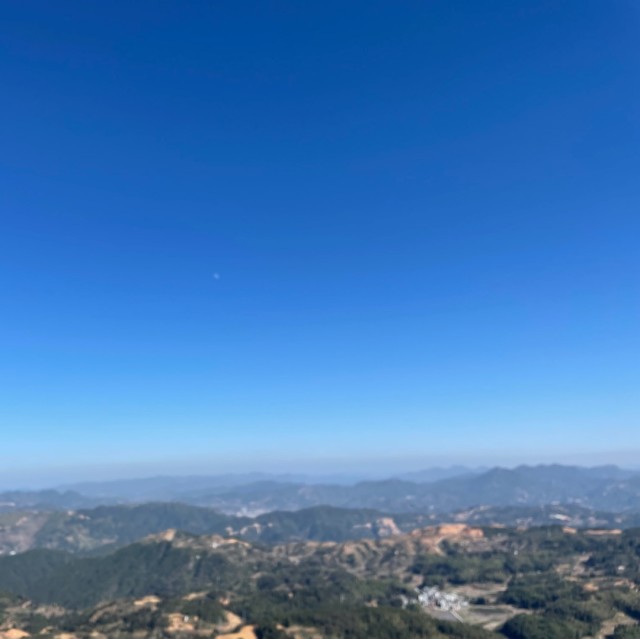 890022 四季如春