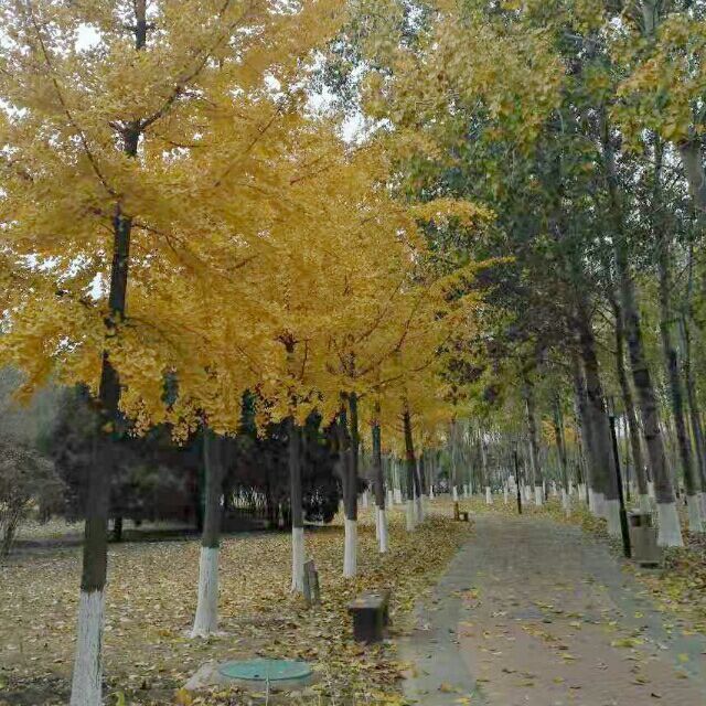 890435 乖乖