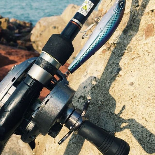 890990 深海石斑