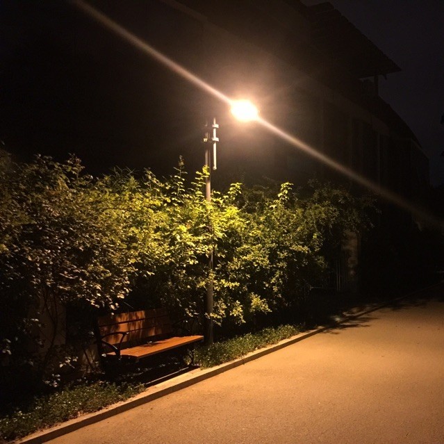 891198 道法自然