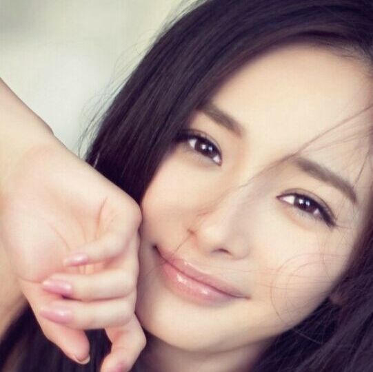 891616 十二少精品宠物