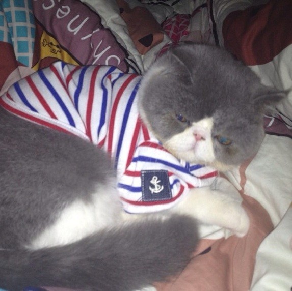 892289 ^猪宝宝`^