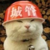 892409 Kevin