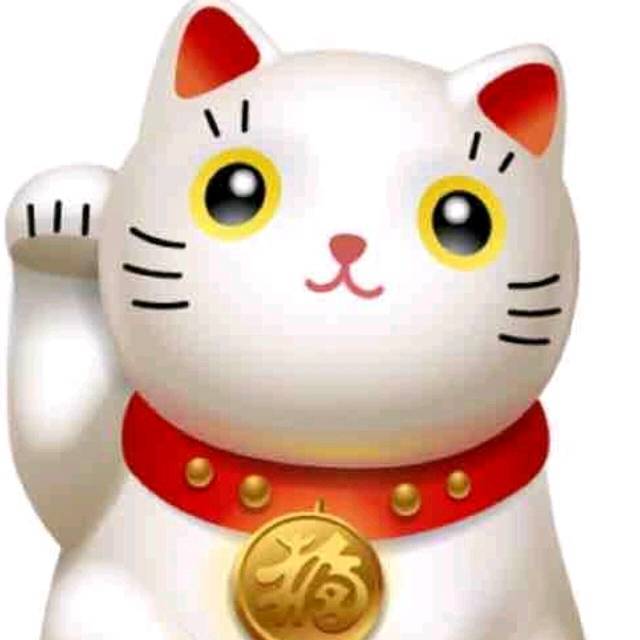 892548 招财猫