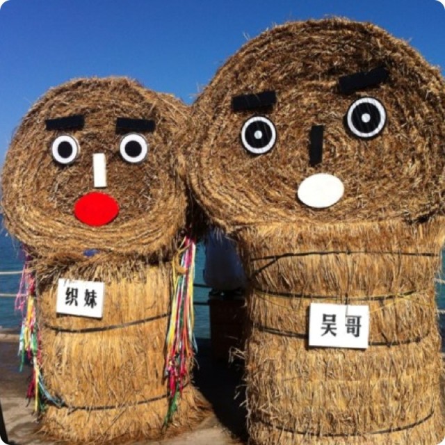 892832 特立独行