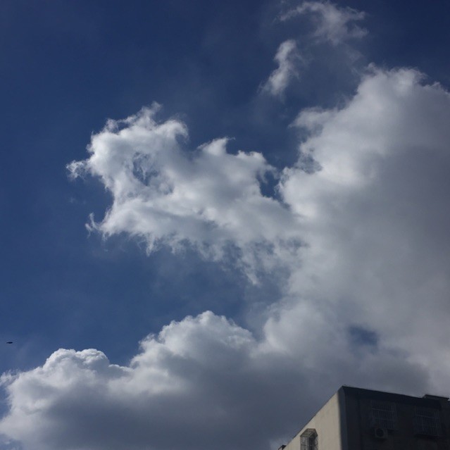 893373 刘宁