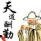 893415 宝贝小猪