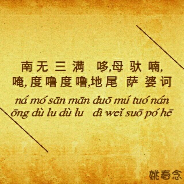 893583 姚北北