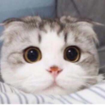 893874 西瓜