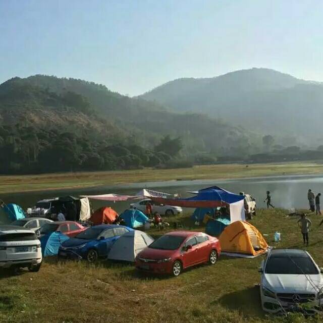 894495 冷光