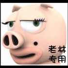 894583 夜空中
