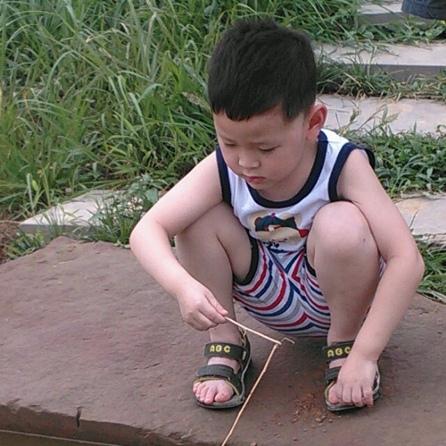 894595 凯路