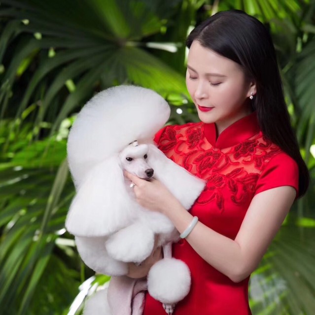 894789 皇后的犬～郝凤梅
