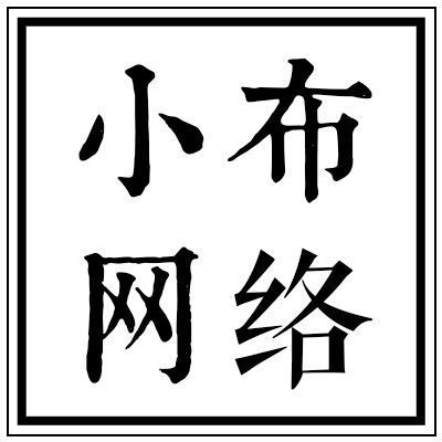 895252 小布网络
