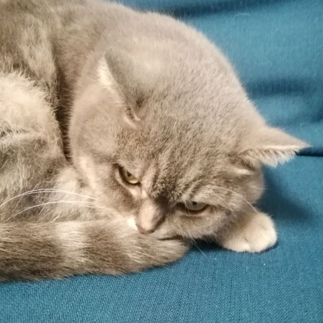895557 好久不见