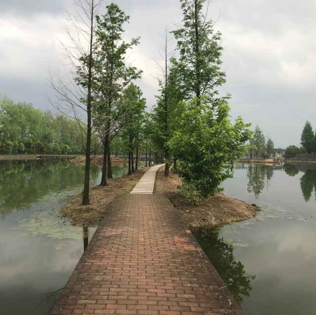 89616  /cy逍雨悠雲