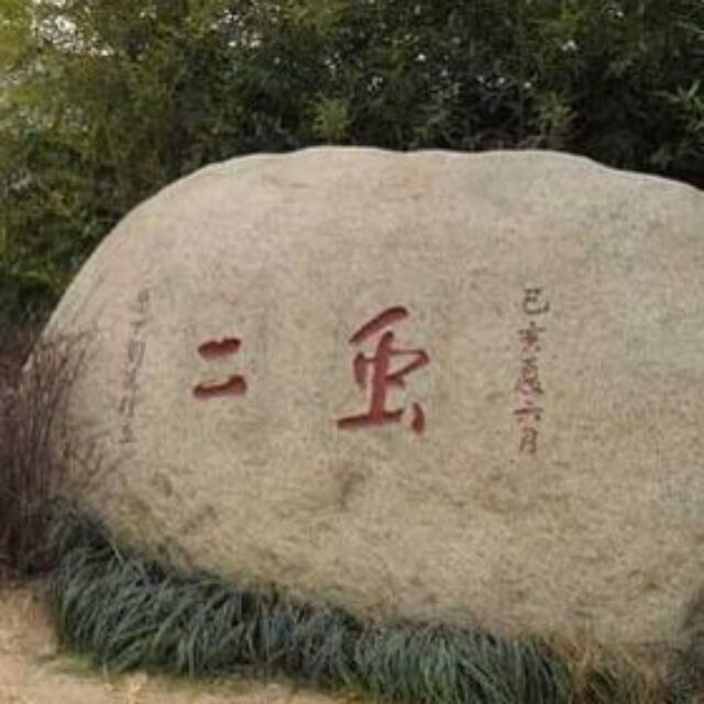 89709 虫二