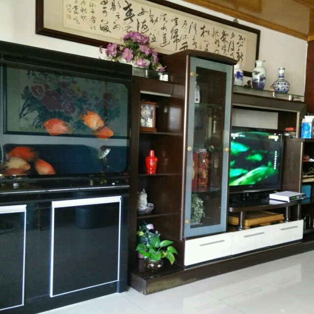 898585 岁月如歌