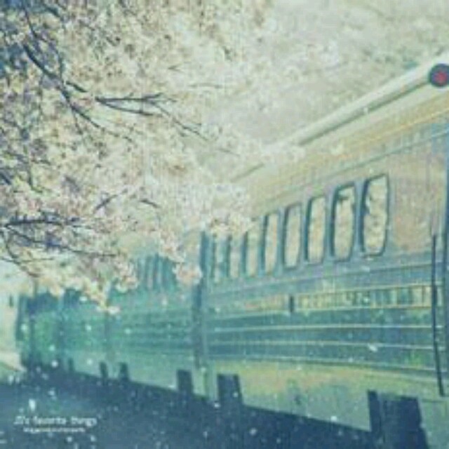 898646 ♝陌路花开♛♣