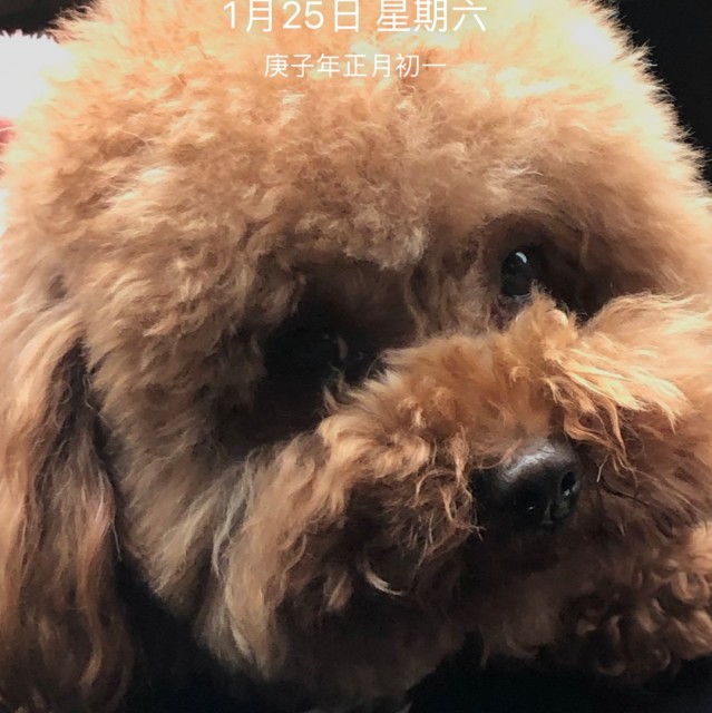 898665 新都西星同方