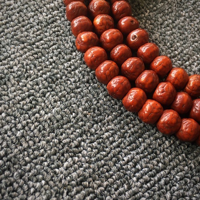 900311 云丹嘉措