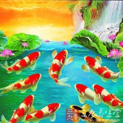 900324 _十年浮夸终成孤独患者丶
