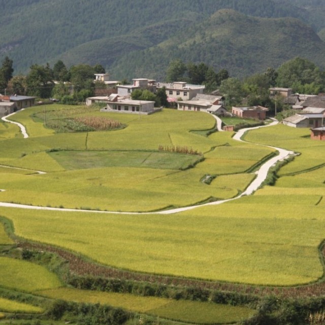 900562 地主家没余粮