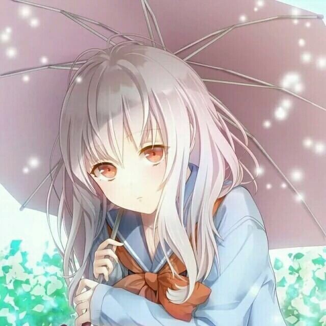 901152 兔纸