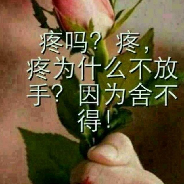 901419 曾经心痛