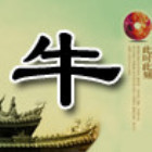 901913 虎哥
