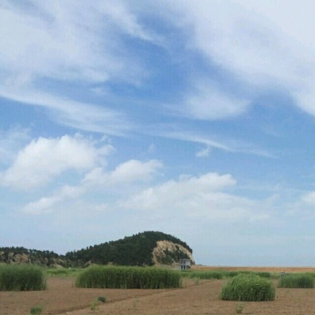 901939 cloud