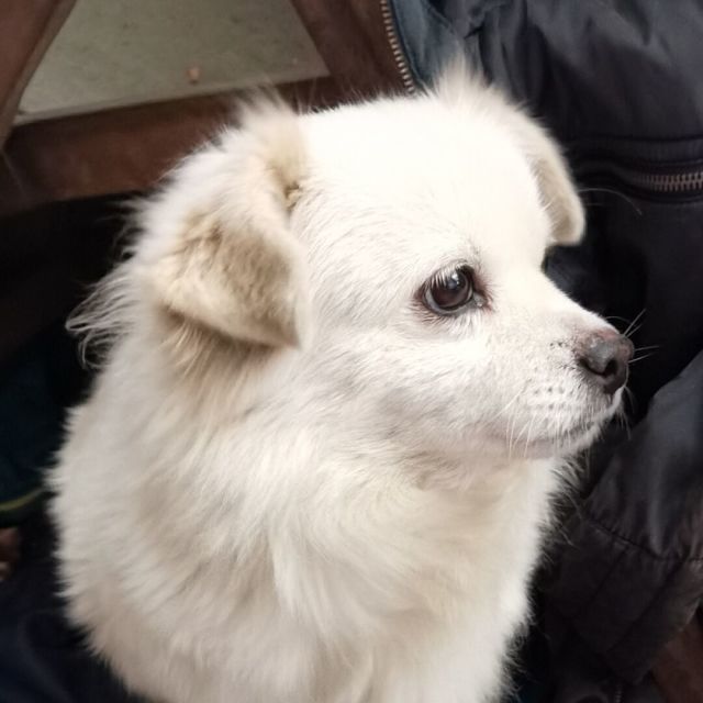 902265 子铭