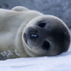 902430  casper