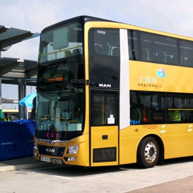 903209 波波