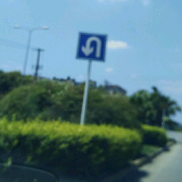903425 再见夕阳