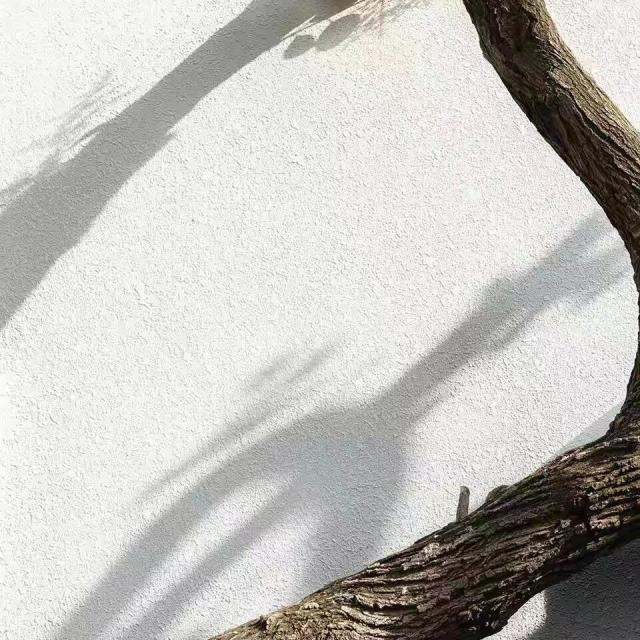 904156 飘影