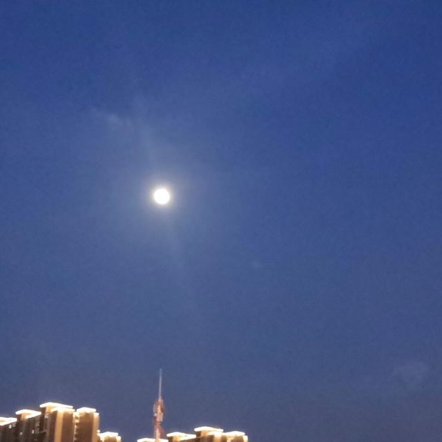 904299 宁富贵