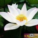 904428 感知