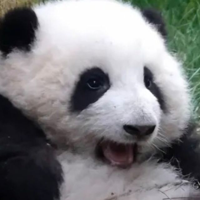 904452 无聊