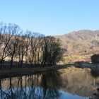 904622 娃娃
