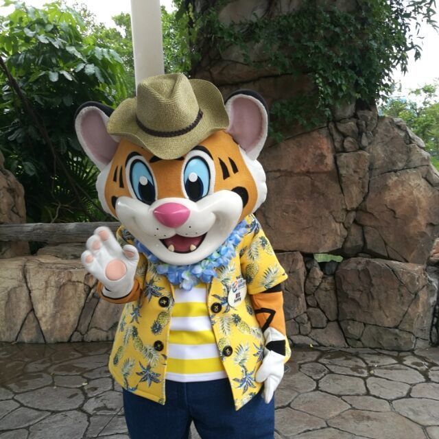 904900 如如の丫头