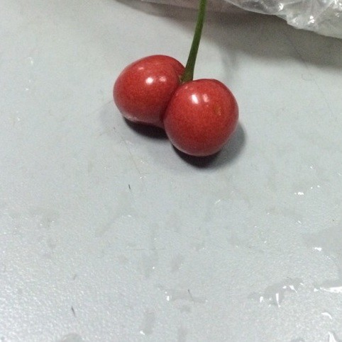 905147 明天会更好