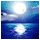 905286 sea
