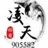 905582 执行招商-凌天