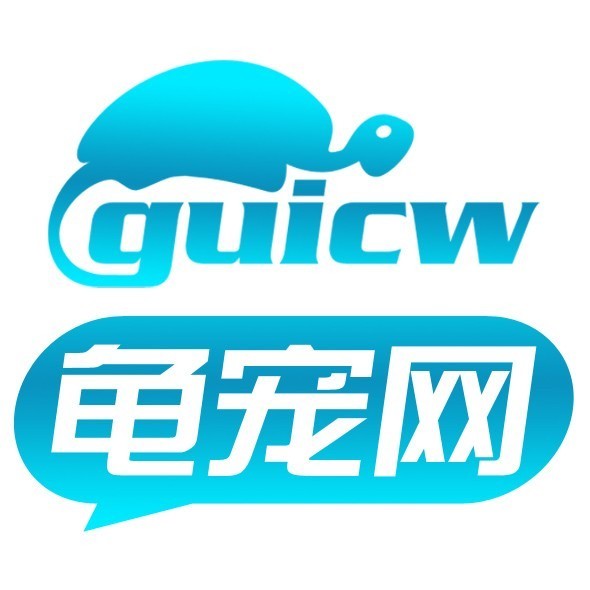 906081 KingWY