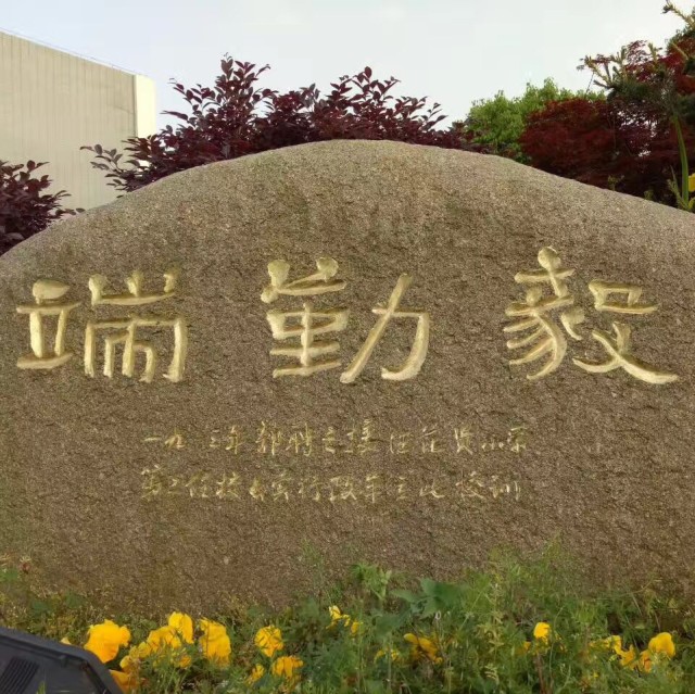 906114 不倒翁