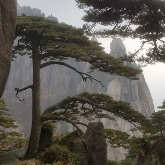 906270 城里尘外