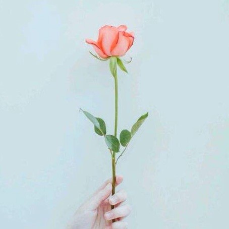 90628 *脚不要鞋*